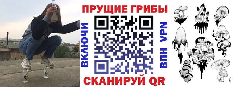 как найти закладки Усть-Лабинск Галлюциногенные грибы MAGIC MUSHROOMS
